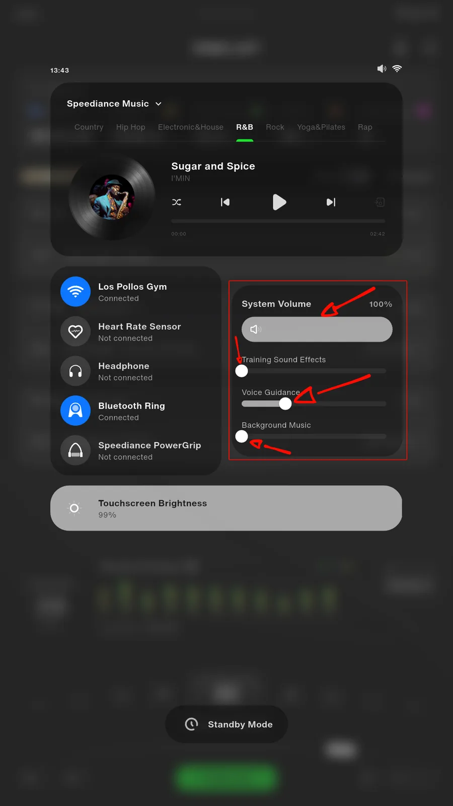 Panel de control del Gym Monster con la tarjeta de volumen resaltada: System Volume al 100 por ciento, Training Sound Effects a cero, Voice Guidance a un tercio aproximadamente y Background Music a cero.